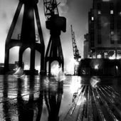 Cranes in the Rain BW