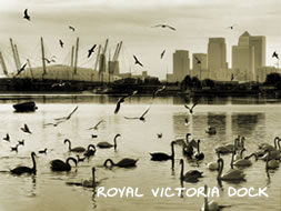 Royal Victoria Dock